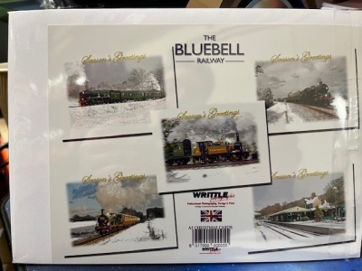 BLUEBELL CHRISTMAS CARD PACK A5